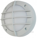 Светильник LED SSW 15-05-C-02 9Вт 5000К IP54