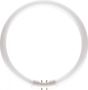 Трубчатая  лампа BASIC T8 FC 22W/860 230V 2GX13 12X1