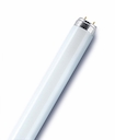 OSRAM L040/32 (765) Россия (дневн.)
