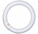 Трубчатая  лампа BASIC T8 L 40W/865 C G10Q 12X1 OSRAM
