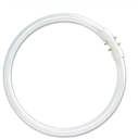 Трубчатая  лампа BASIC T8 FC 22W/830 2GX13 12X1 OSRAM