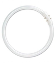 Трубчатая  лампа BASIC T8 FC 22W/827 2GX13 12X1 OSRAM