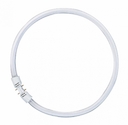 Трубчатая  лампа BASIC T8 FC 40W/830 2GX13 12X1 OSRAM