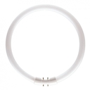 MASTER TL5 Circular 55W/840 1CT/10