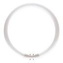 Лампа MST TL5 Circular 40W/830 1CT/10