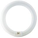 TL-E 40W/54-765 1CT/12