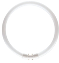 Лампа MST TL5 Circular 60W/830 1CT/10