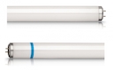 Actinic BL TL-D 15W/10 Secura 1SL/25