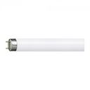 MASTER TL-D Super 80 1m 36W/840 SLV/25