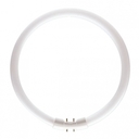 MASTER TL5 Circular 22W/830 1CT/10