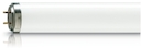 Лампа Actinic BL TL-K 40W/10-R