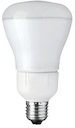 PL-E Refl R80 20W CW E27 220-240V 1CT/6
