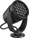 Basic version - Black - Цвет: Black