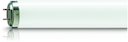 Actinic BL - UV lamp