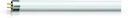 Actinic BL - UV lamp
