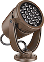 Basic version - Bronze - Цвет: Bronze