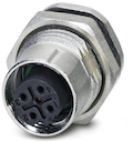 SACC-DSI-FSB-5CON-L180/SCO SH