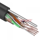 Rexant 01-0046 Кабель UTP 4х2х24AWG кат.5е медь наруж. прокл. с тросом 305м (м)
