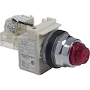 КНОПКА 30ММ 9001KR24RH6
