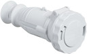 КАБ РОЗ 32A 2P 25/50V IP67