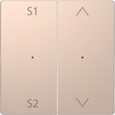 MERTEN D-Life PlusLink КЛАВИША 2-ная с S1/S2, вх/вз, ШАМПАНЬ, SD