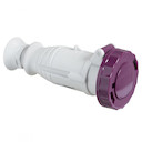 КАБ РОЗ ВИНТ 16A 2P 20-25V IP67