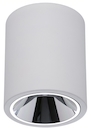 OKKO S 38 WH D45 4000K (with driver)