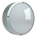STAR NBT 11 F123 silver MS