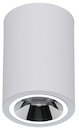 OKKO P 53 WH D45 3000K (with driver)