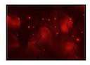 Гирлянда Айсикл "ПЛАЙ-ЛАЙТ Каучук" 0.9х5.6м 240LED 15Вт 220В IP54 красн.; черн. провод NEON-NIGHT 255-242