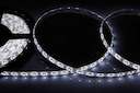 Лента светодиодная SMD3528 бел. 4.8Вт/м 60LED/м 12В IP65 (уп.5м) NEON-NIGHT 141-355