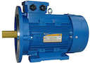 Электродвигатель 5АИ 100 L2 5.5/3000 IM2081 Элком 01.01.213678