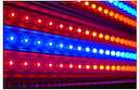 Светильник УСС-60 Био Д LED 57Вт IP67 потолочное крепление спец. свет ФОКУС USS06-060D0CN30АF06000