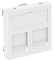 Корпус компьютерной розетки PA DTG-2PA RW1 OBO 6119226