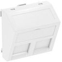 Корпус компьютерной розетки DTS-2A RW1 OBO 6119238