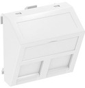 Корпус компьютерной розетки RM DTS-2RM AL1 OBO 6119302